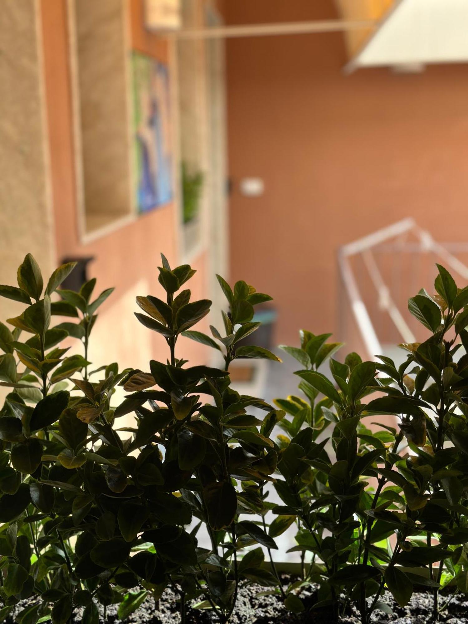 Le Camere Luxury Rooms Siracusa Syracuse Esterno foto
