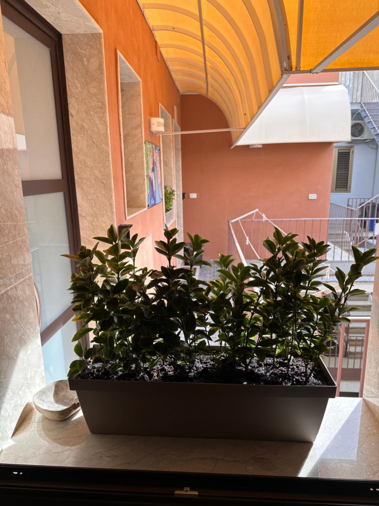 Le Camere Luxury Rooms Siracusa Syracuse Esterno foto